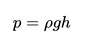 static fluid pressure (Stevin's law) in darcy's law