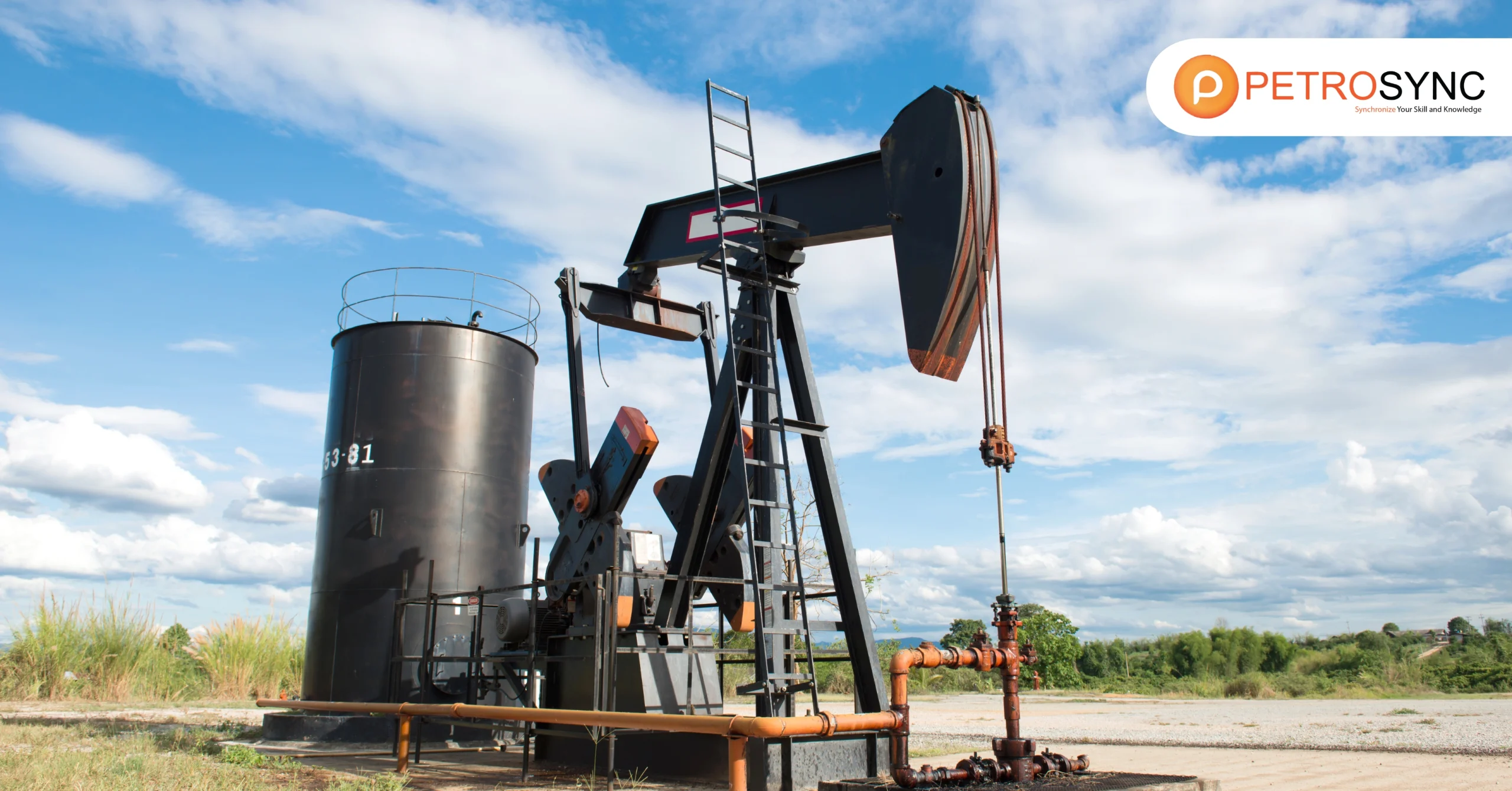 Crude Oil Type Explained Clearly for You