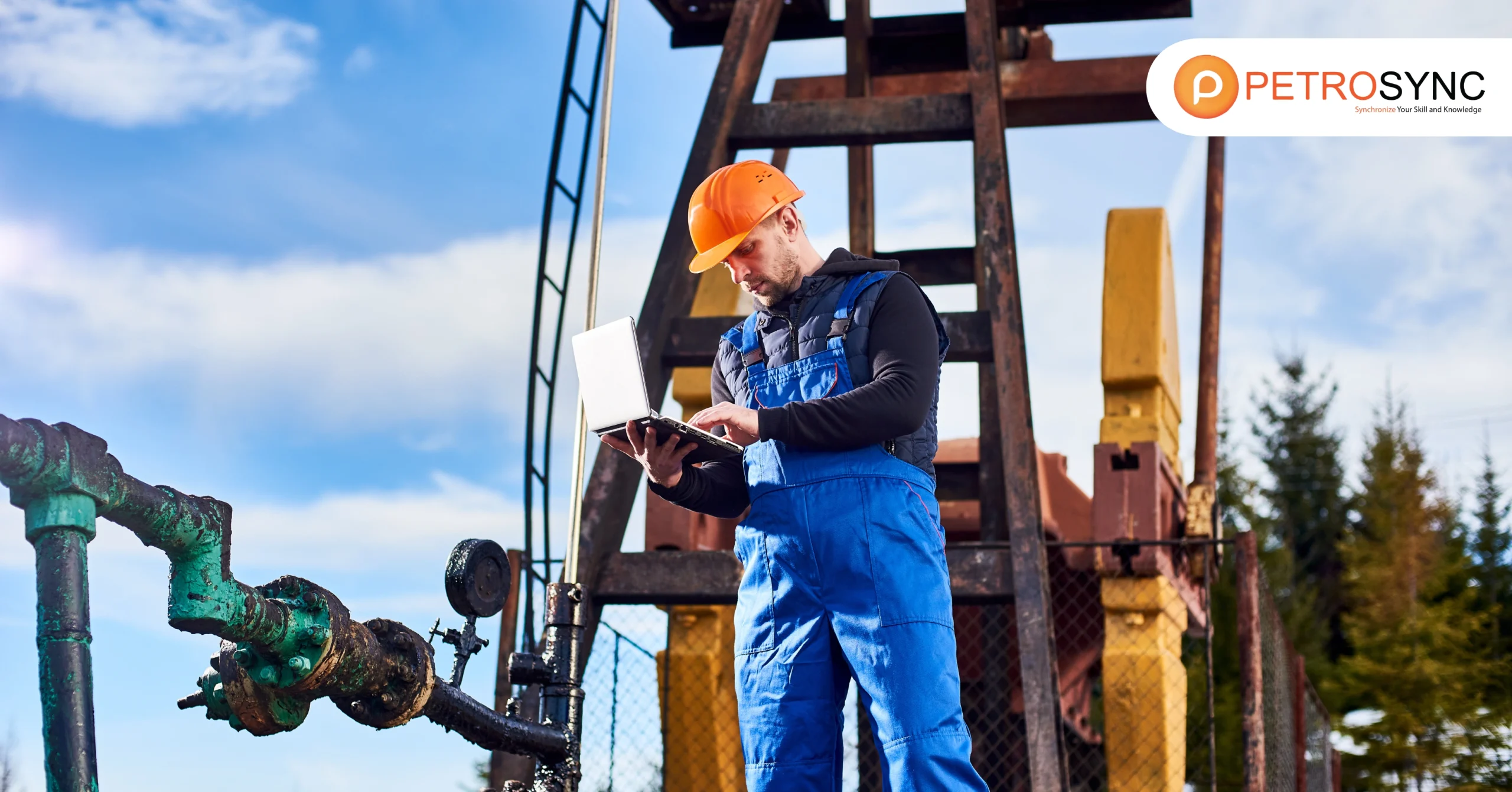 Oil and Petroleum: Key to Global Energy Supply