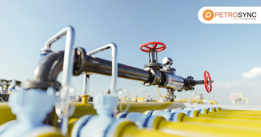 Oil and Gas Software