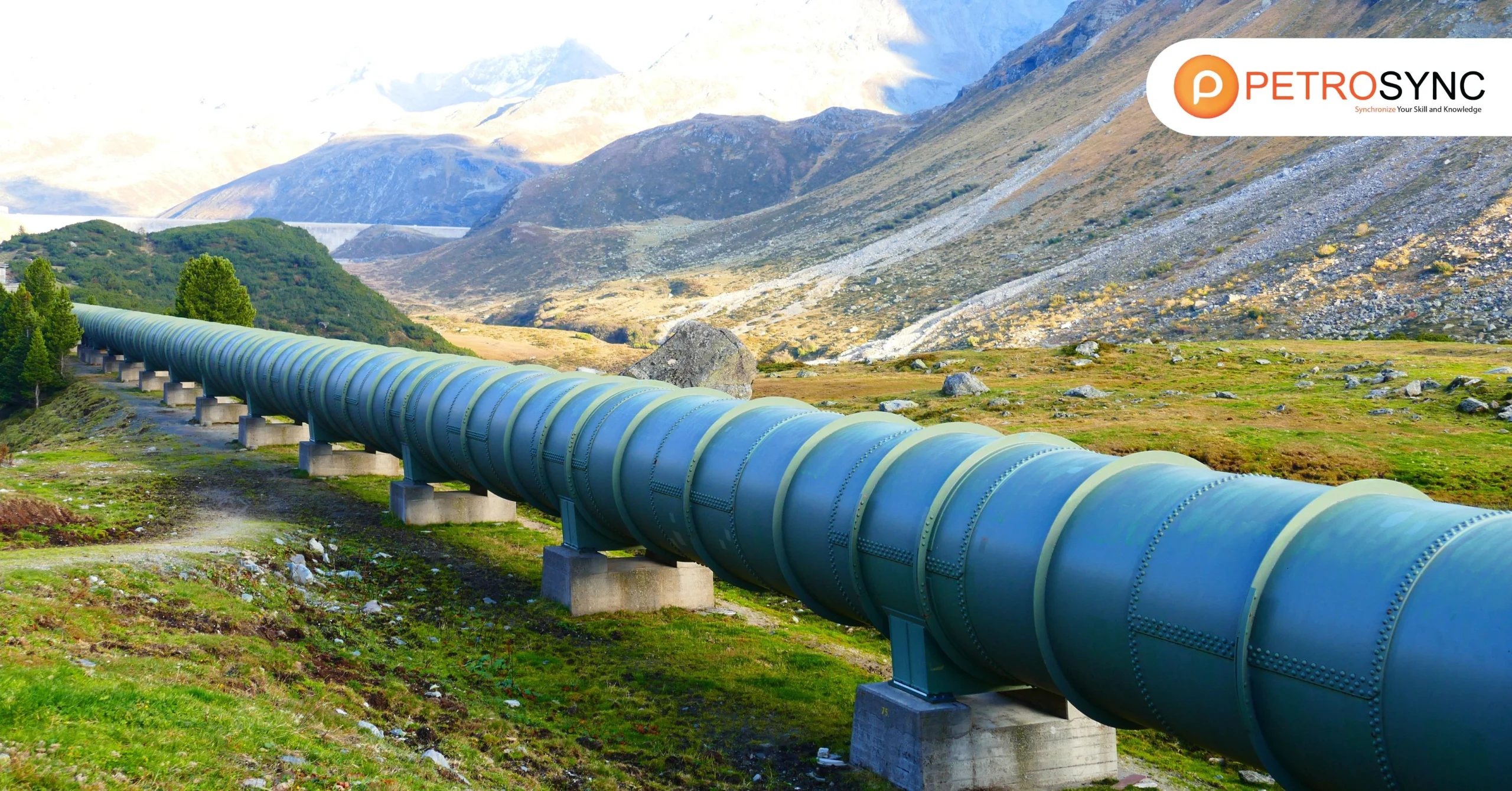 Oil and Gas Plant: Power Up Peak Performance